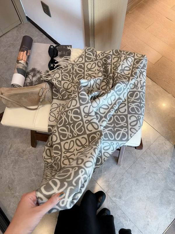 Loewe Scarf 205X60cm E09 (22)