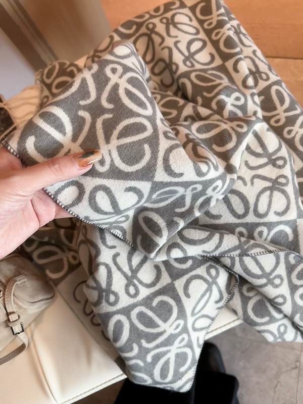 Loewe Scarf 205X60cm E09 (23)