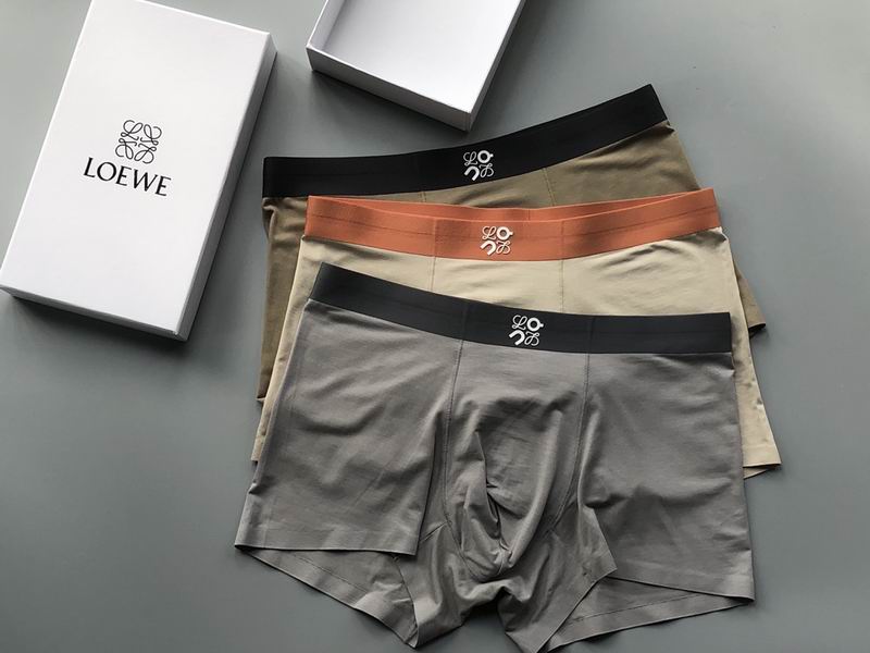 Loewe boxer L-4XL 04 (2)