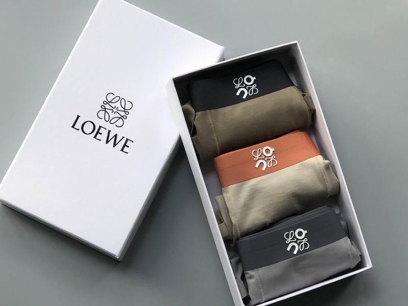 Loewe boxer L-4XL 04 (3)