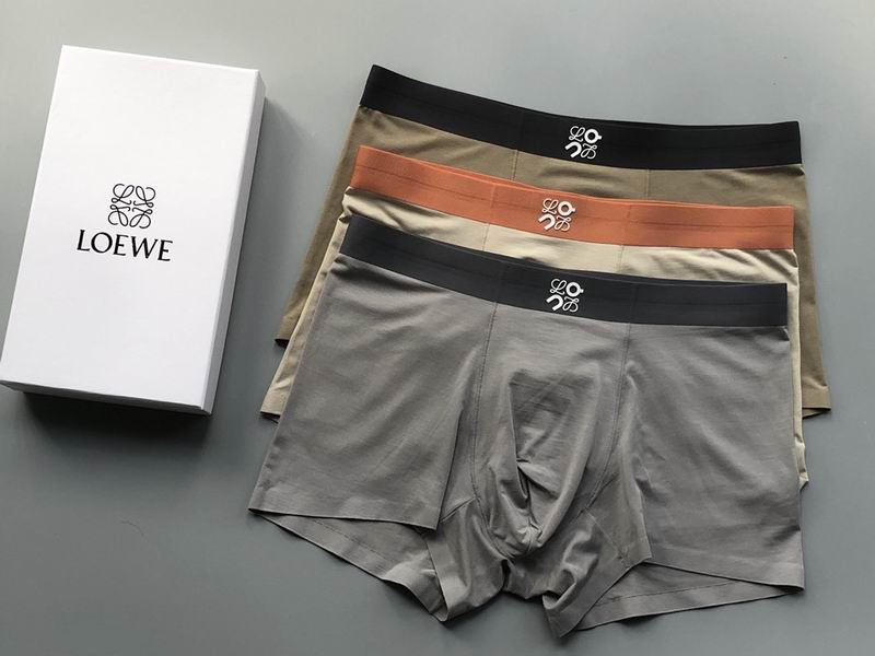 Loewe boxer L-4XL 04 (4)