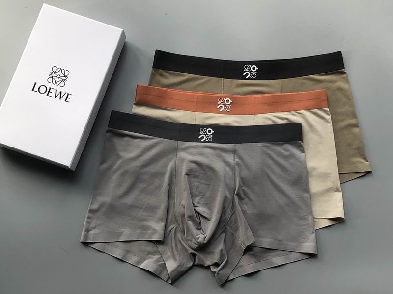Loewe boxer L-4XL 04 (5)