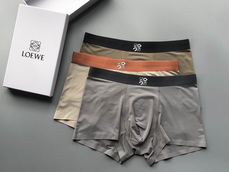 Loewe boxer L-4XL 04 (6)