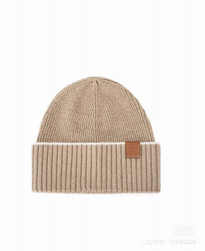 Loewe hat dx (380)