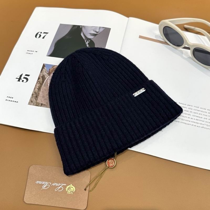 Loro Piana hat hm (49)