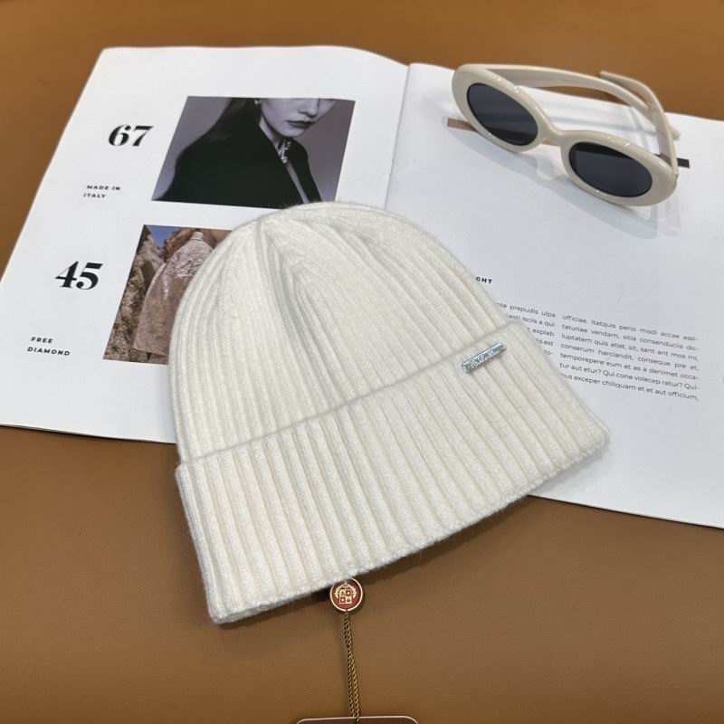 Loro Piana hat hm (53)