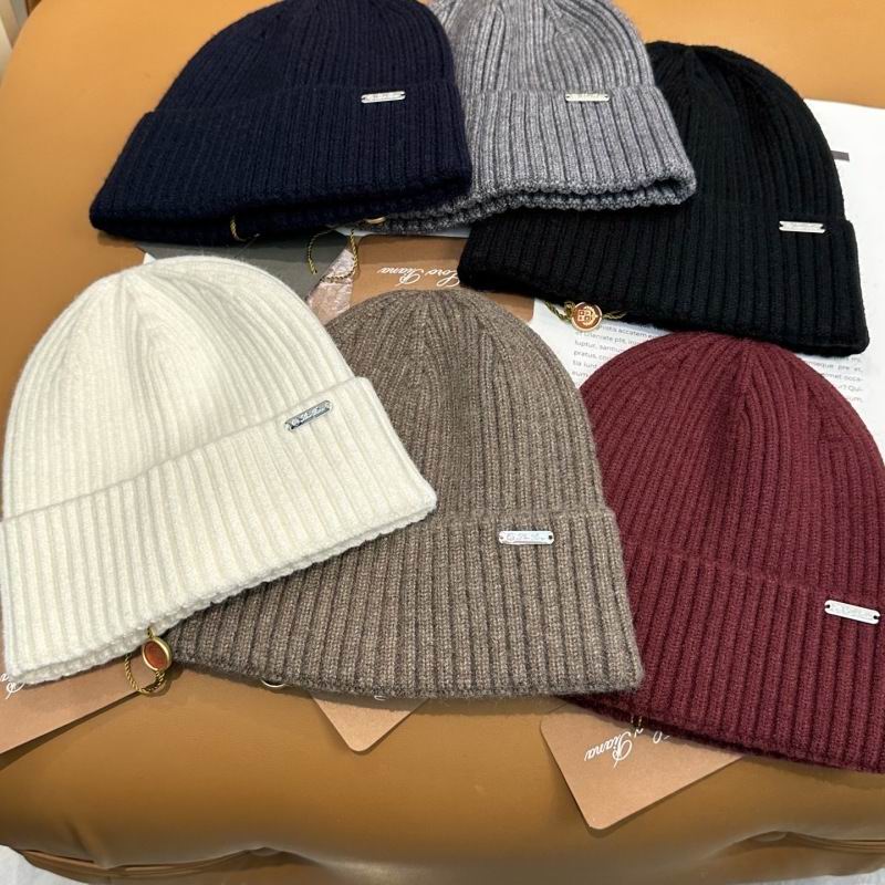 Loro Piana hat hm (55)