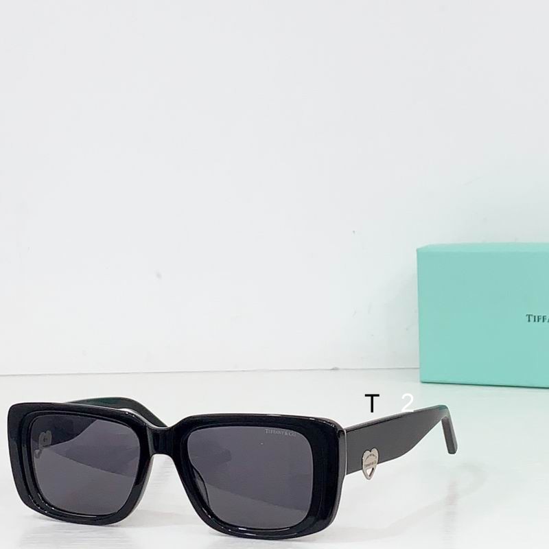 TIFFANY Co TF5009 55 19-145 B02