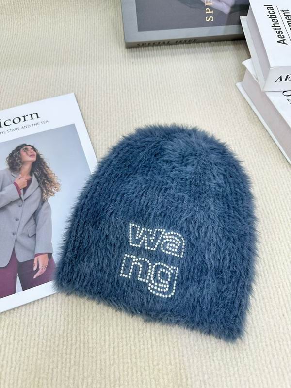 Alexander Wang hat (1979)