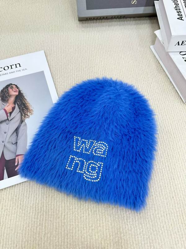 Alexander Wang hat (1984)