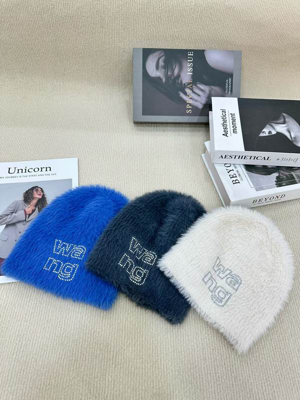 Alexander Wang hat (1985)