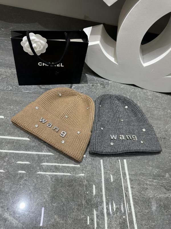 Alexander Wang hat dx (399)