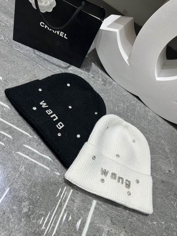 Alexander Wang hat dx (400)