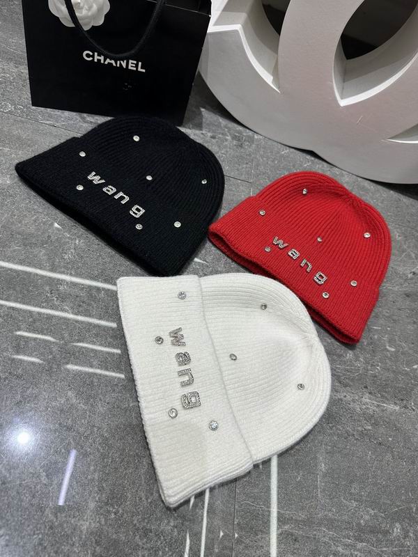 Alexander Wang hat dx (401)
