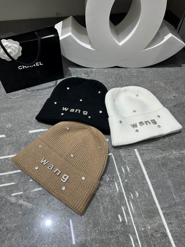 Alexander Wang hat dx (402)