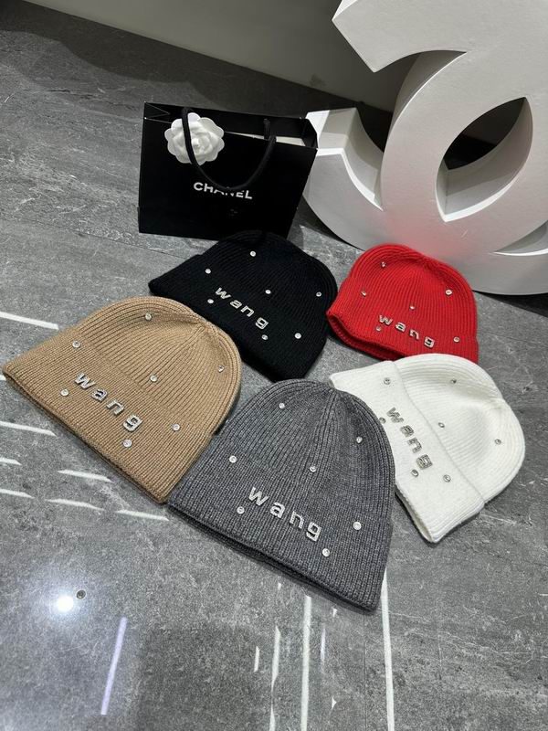 Alexander Wang hat dx (403)