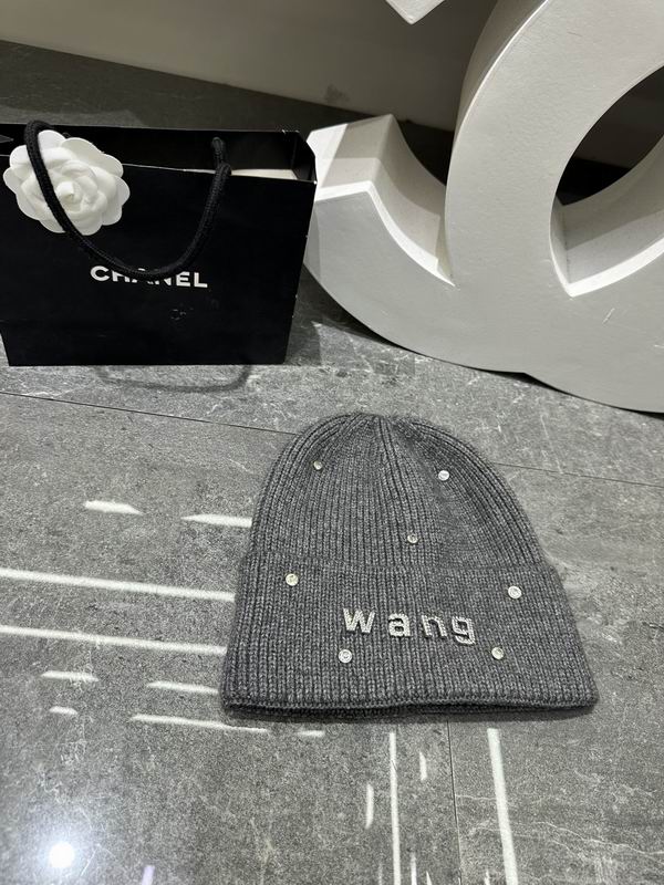 Alexander Wang hat dx (404)