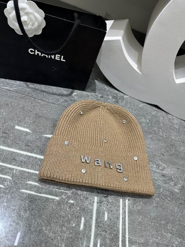 Alexander Wang hat dx (405)