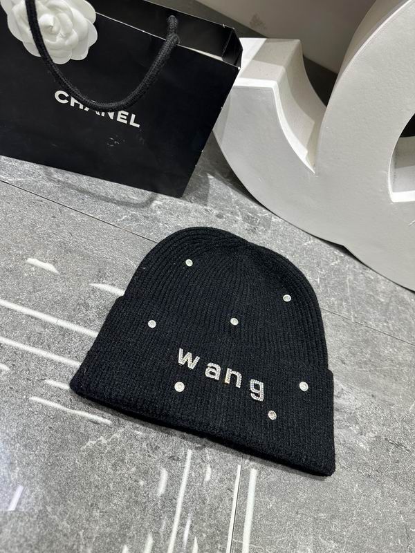 Alexander Wang hat dx (406)