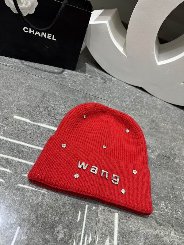 Alexander Wang hat dx (407)