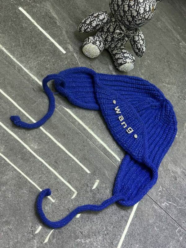 Alexander Wang hat dx (496)