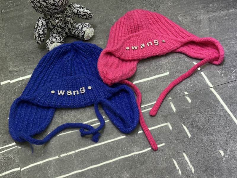 Alexander Wang hat dx (497)