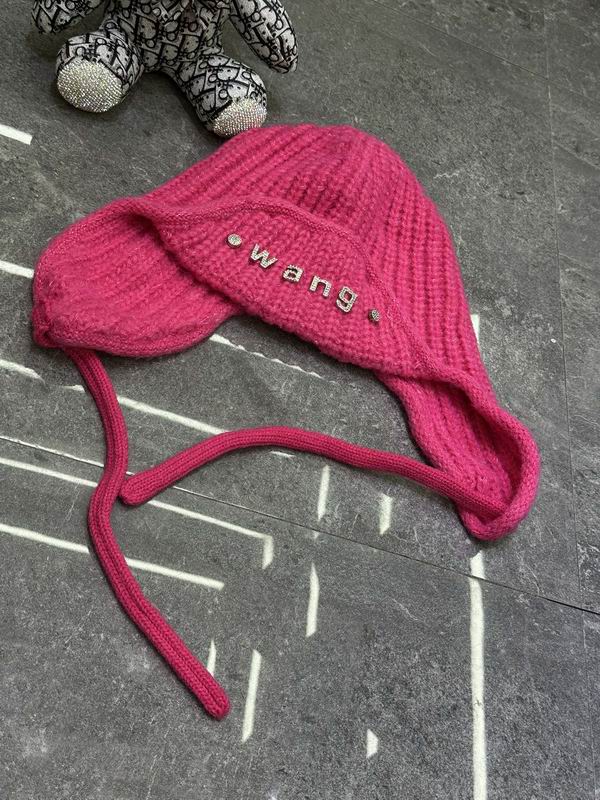 Alexander Wang hat dx (498)