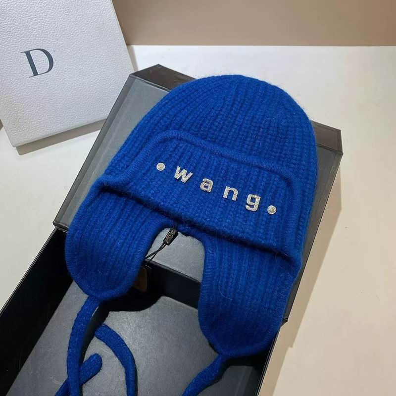 Alexander Wang hat dx (499)