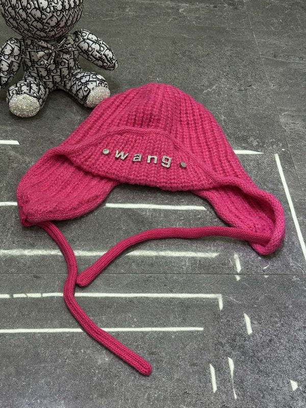 Alexander Wang hat dx (500)