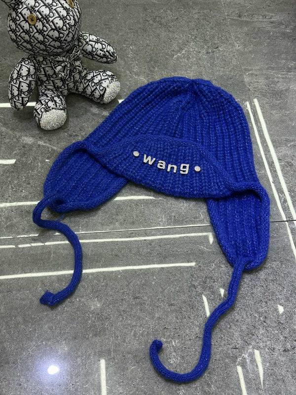 Alexander Wang hat dx (501)
