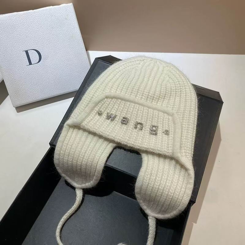 Alexander Wang hat dx (502)