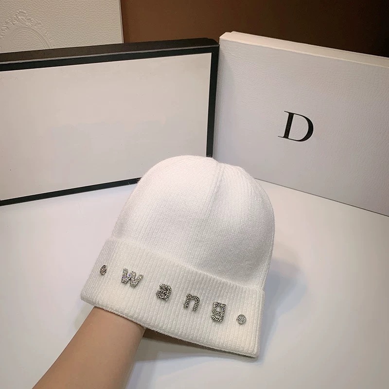 Alexander Wang hat dx (551)