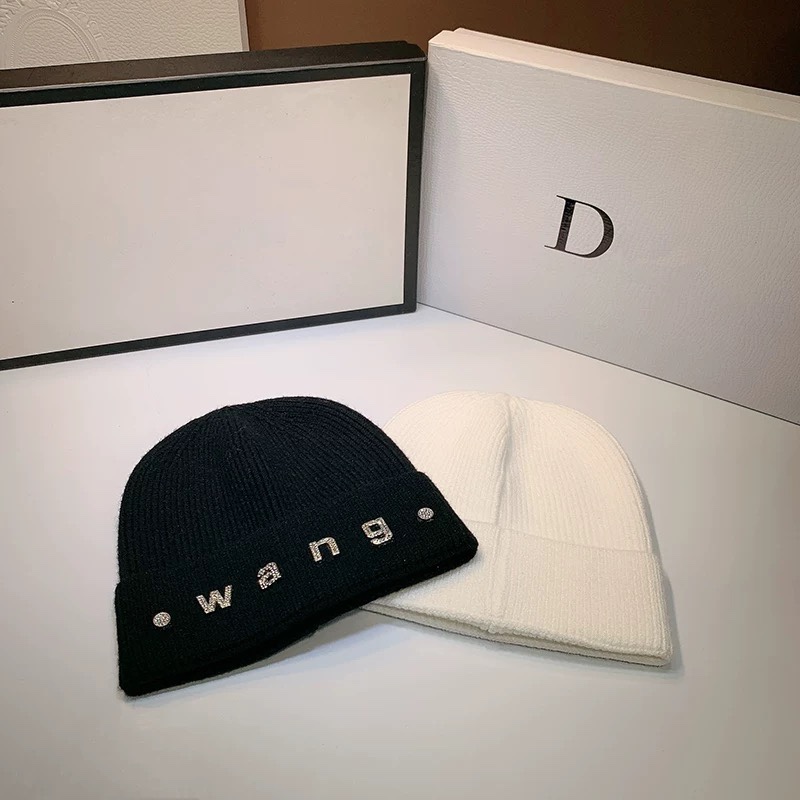 Alexander Wang hat dx (552)