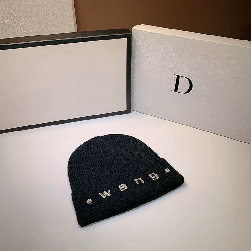 Alexander Wang hat dx (553)
