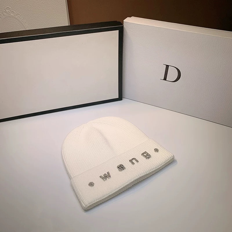 Alexander Wang hat dx (554)