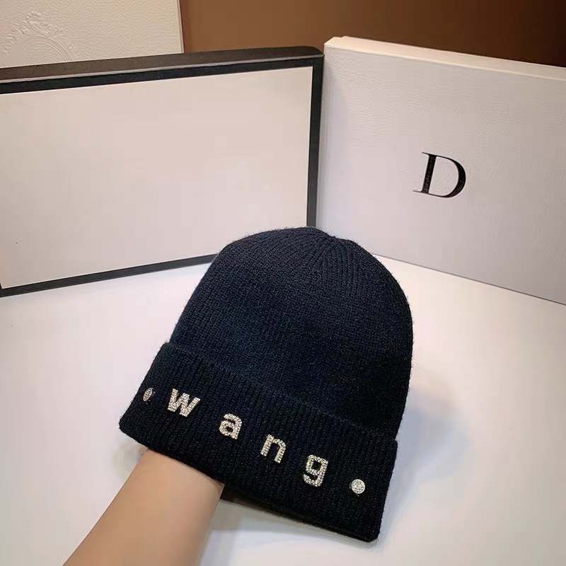 Alexander Wang hat dx (555)