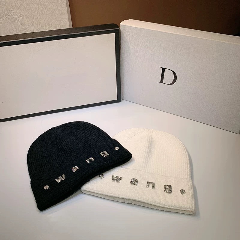 Alexander Wang hat dx (556)