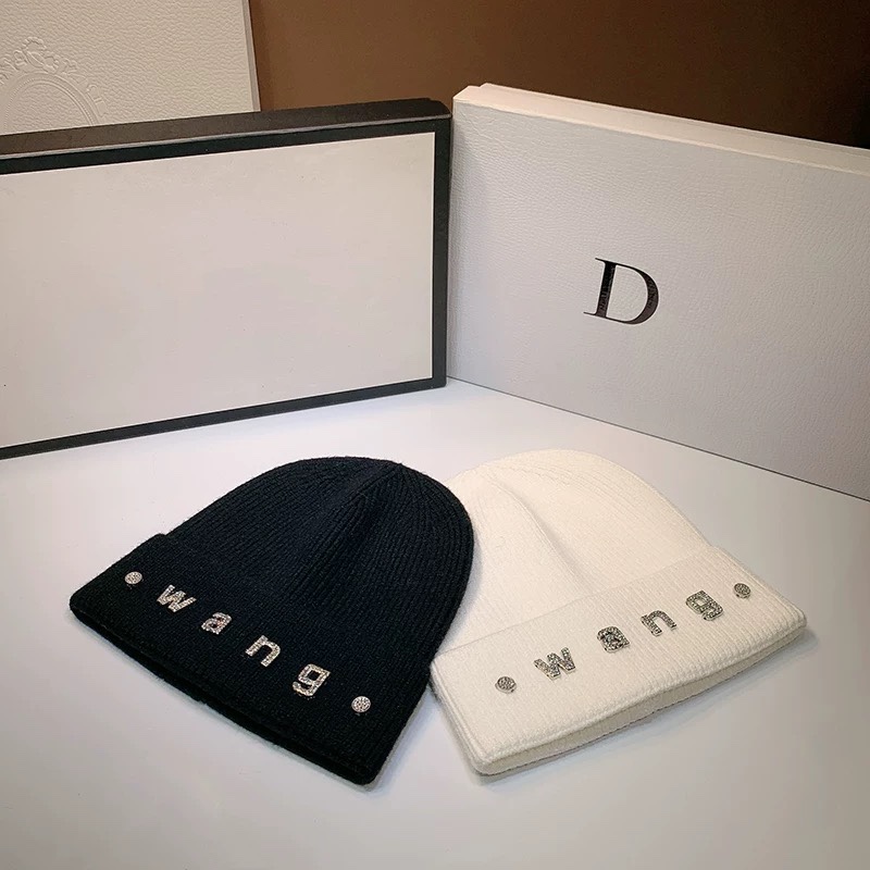 Alexander Wang hat dx (557)