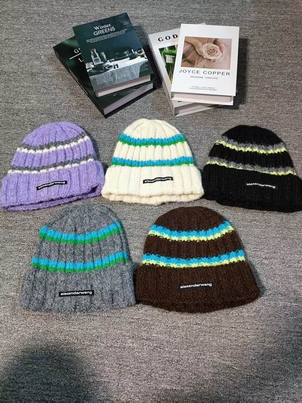 Alexander Wang hat dx (563)