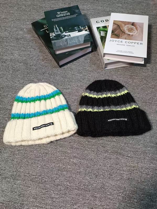 Alexander Wang hat dx (564)