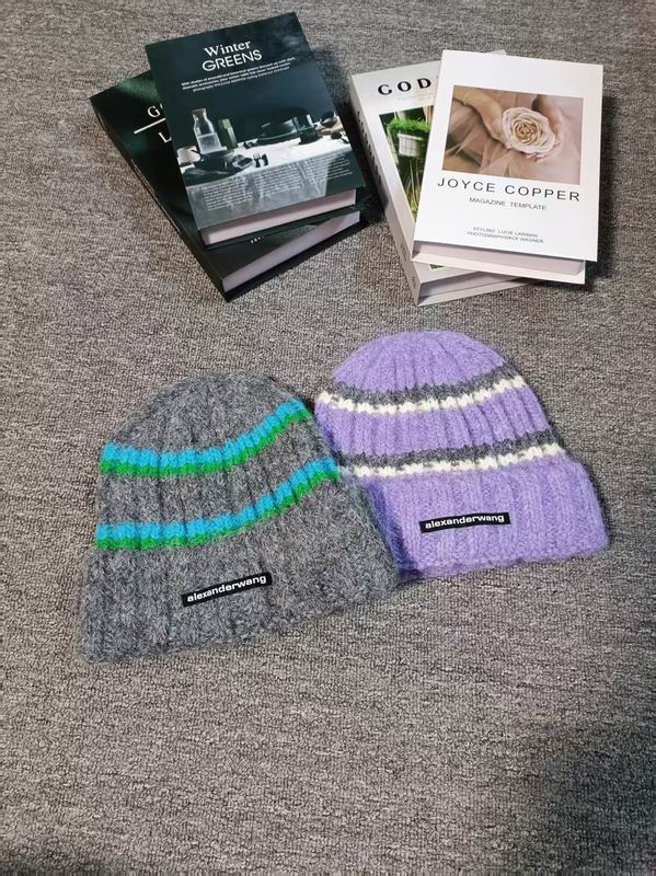 Alexander Wang hat dx (565)