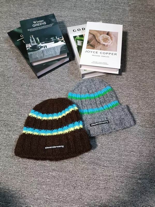 Alexander Wang hat dx (566)