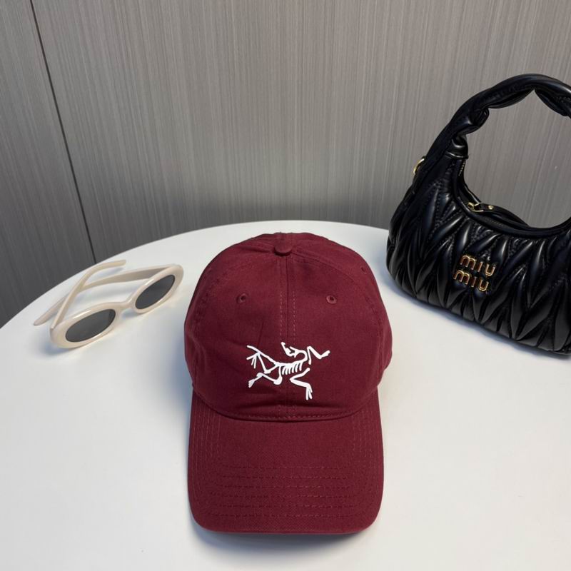 Arcteryx Cap dx (176)