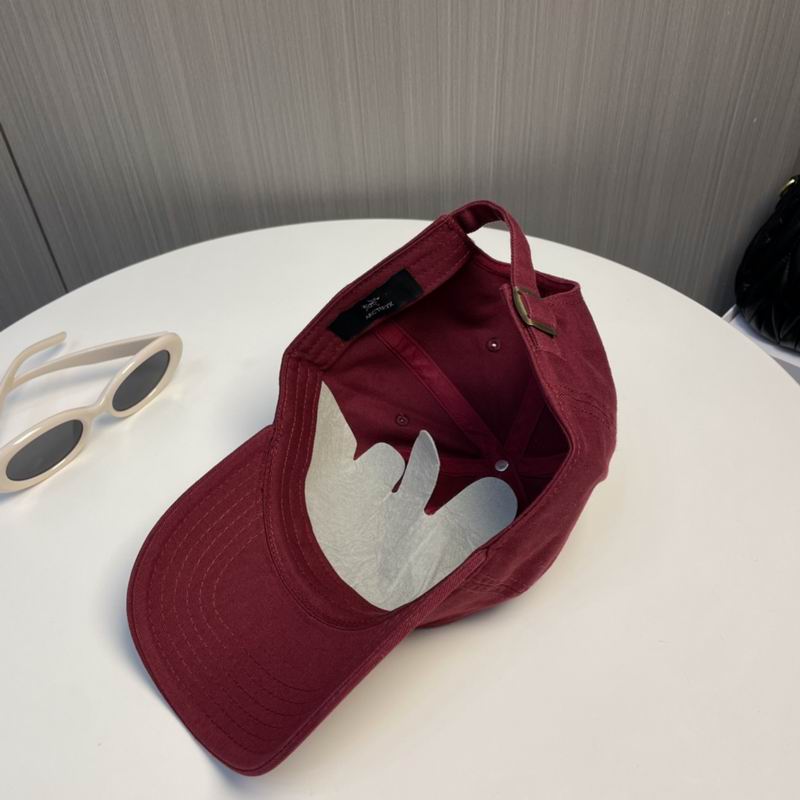 Arcteryx Cap dx (181)