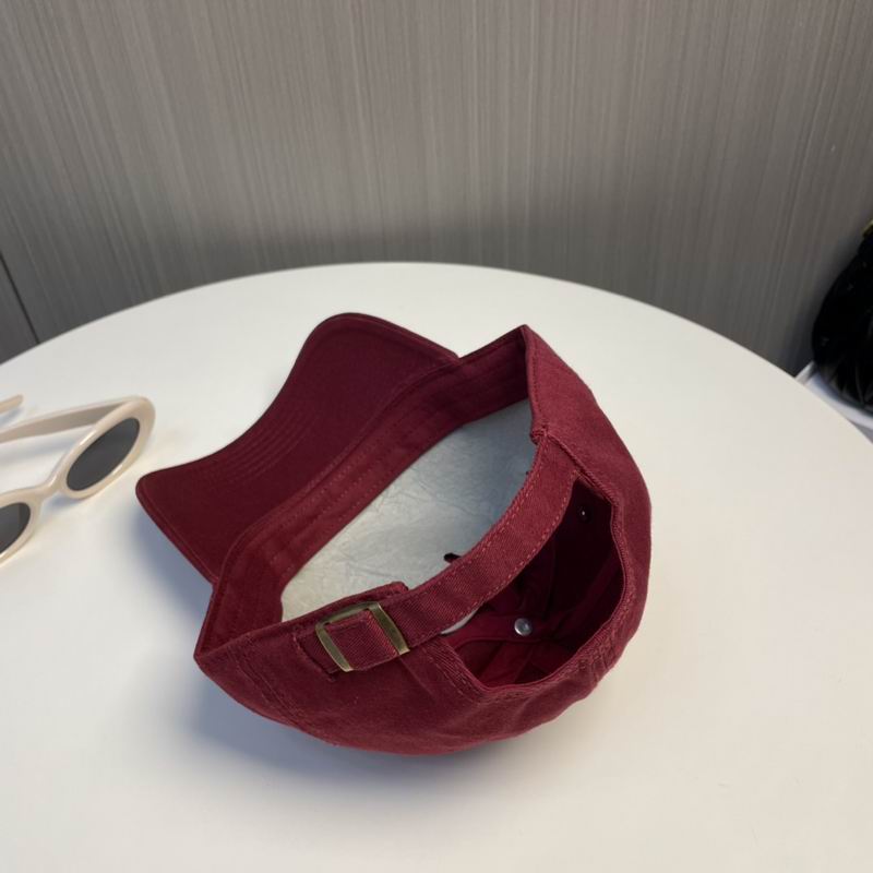 Arcteryx Cap dx (182)