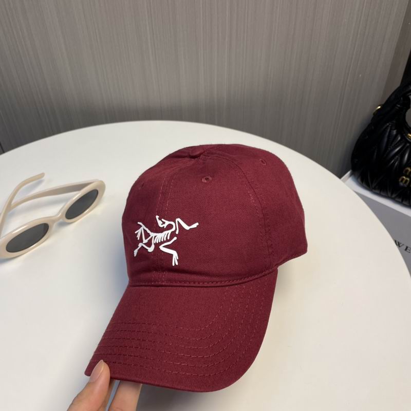 Arcteryx Cap dx (183)