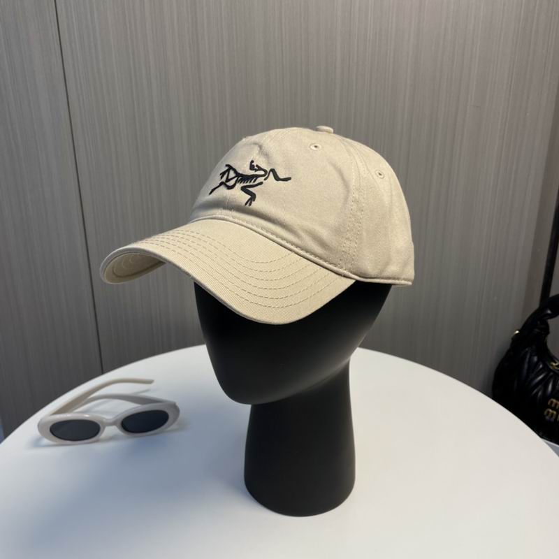 Arcteryx Cap dx (193)