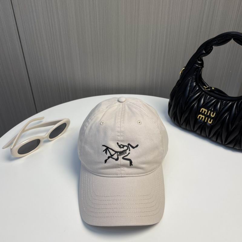 Arcteryx Cap dx (194)