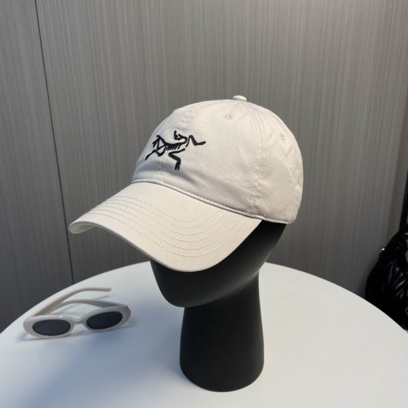 Arcteryx Cap dx (202)
