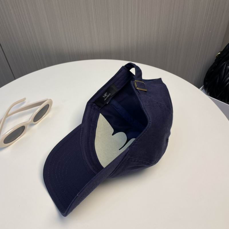 Arcteryx Cap dx (208)